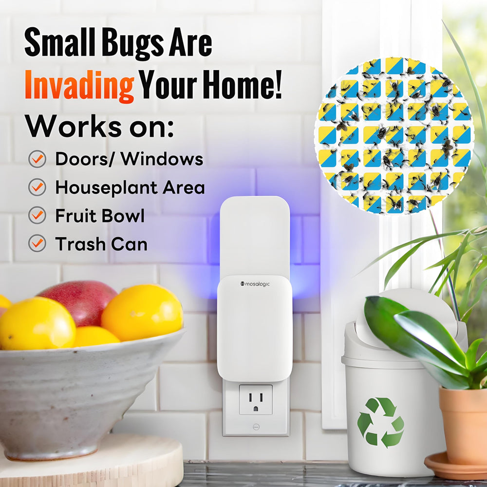 Mosalogic Fruit Fly Trap in a kitchen setting