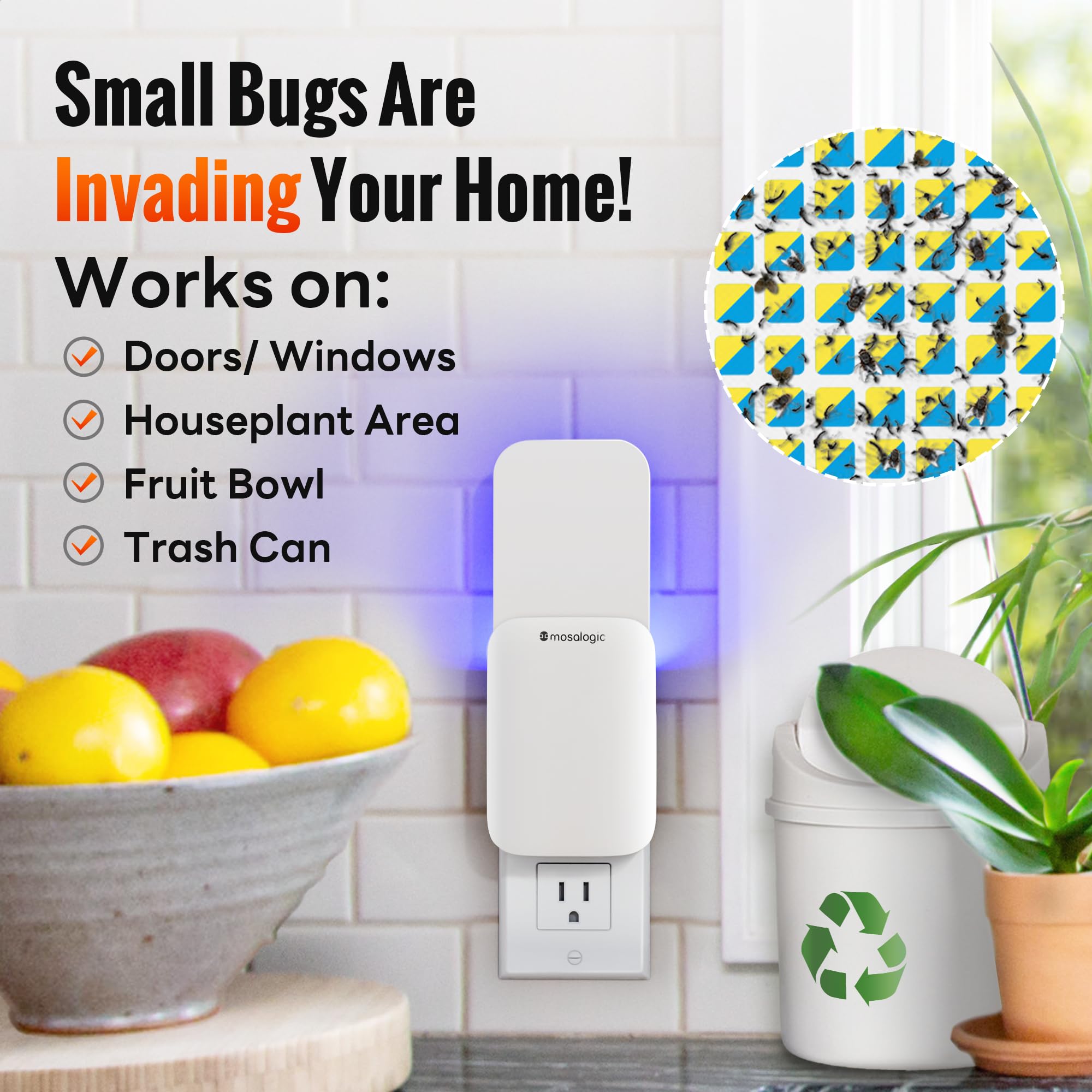 Mosalogic Indoor Gnat Trap in kitchen setting