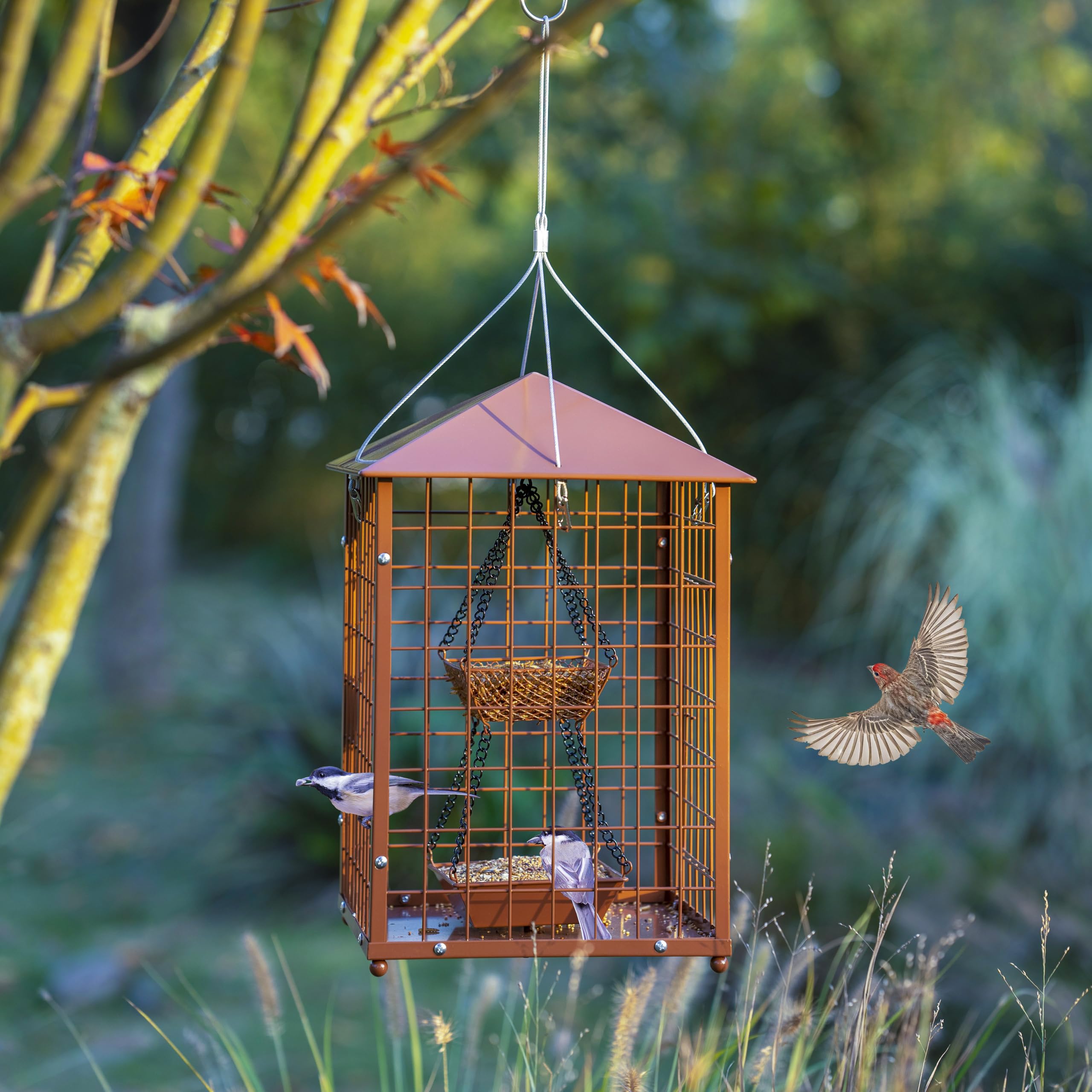 Mosloly Bird Feeder, dimensions and assembly details