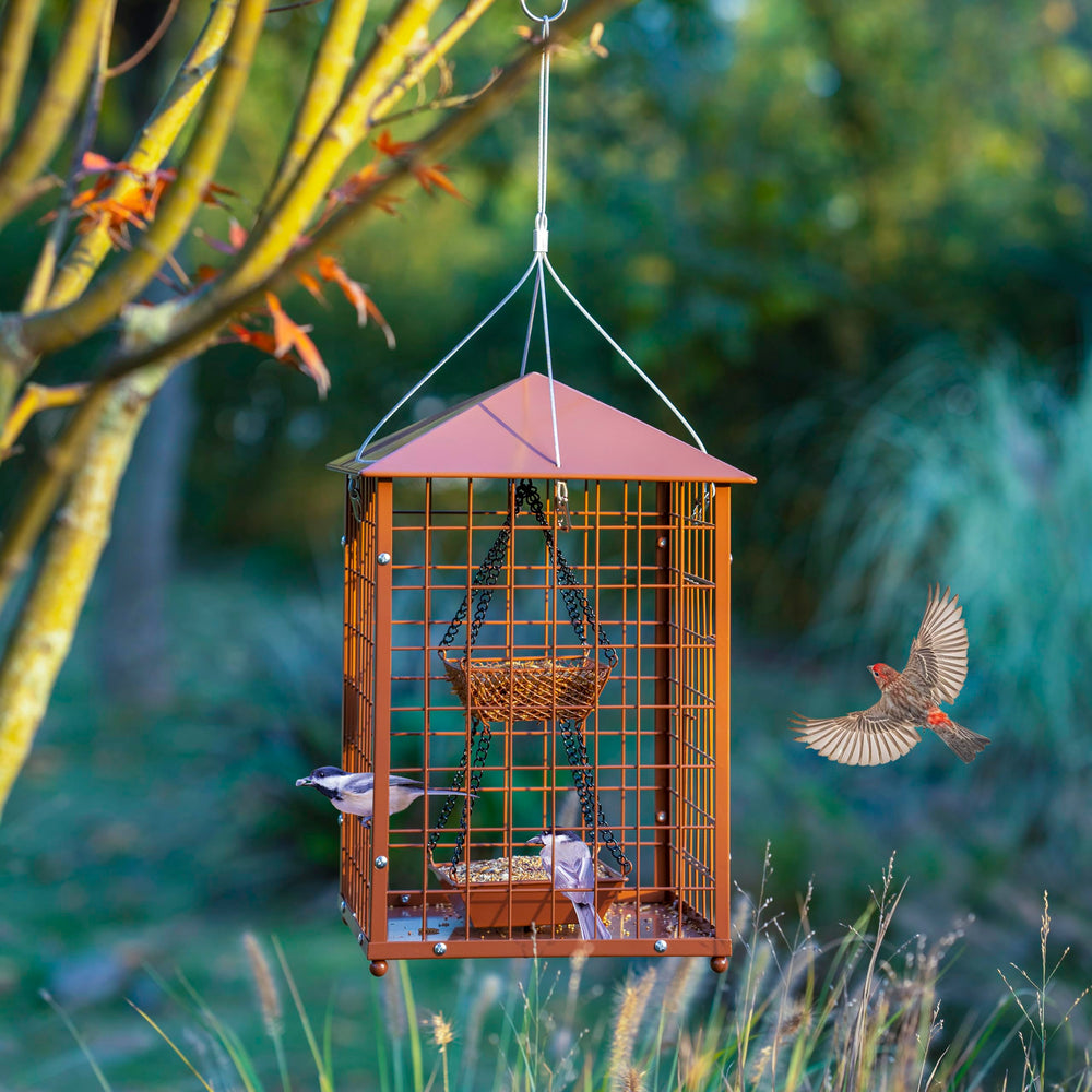 Mosloly Bird Feeder, dimensions and assembly details