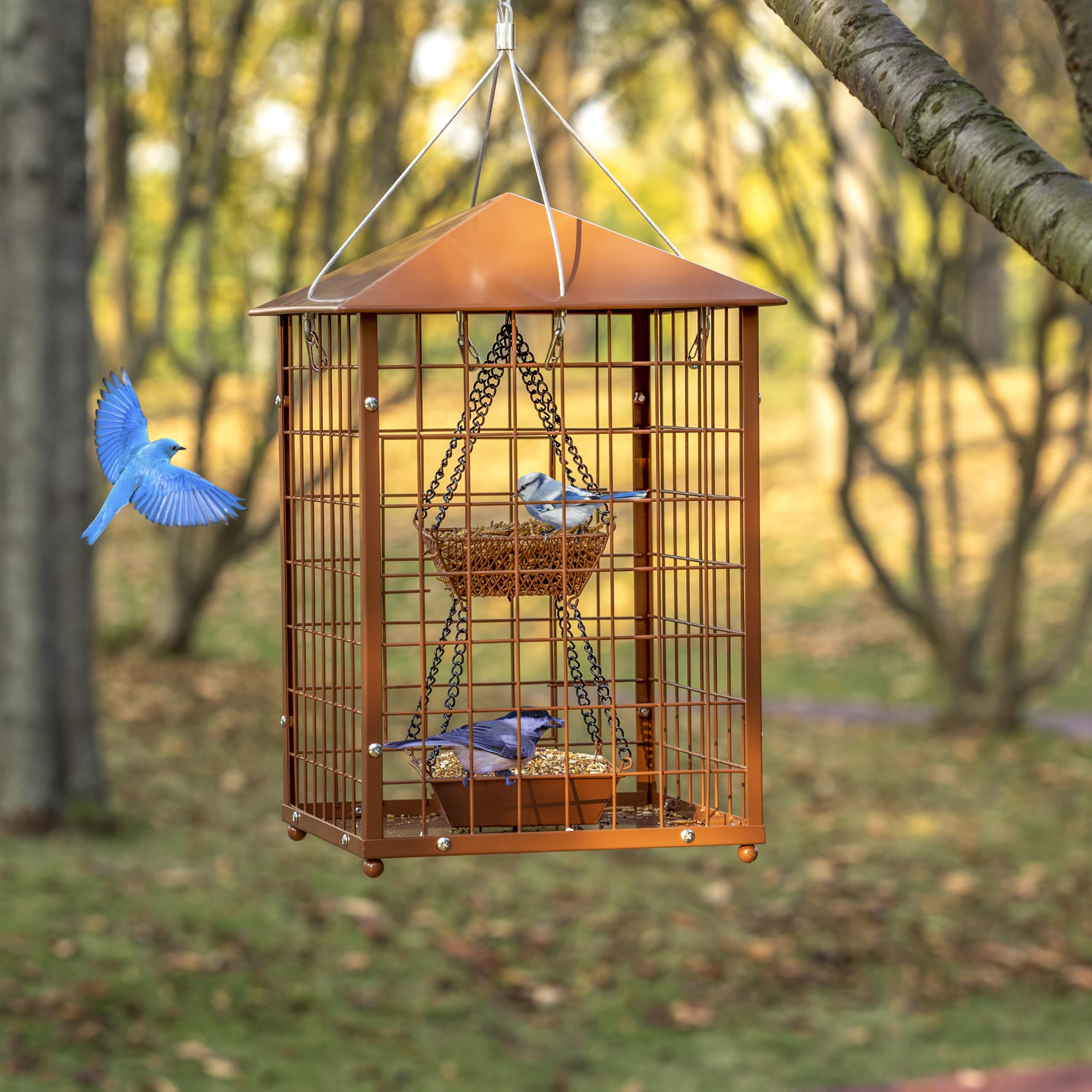Mosloly Bird Feeder in outdoor garden setting