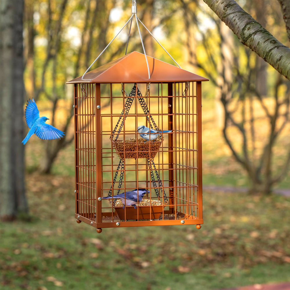 Mosloly Bird Feeder in outdoor garden setting