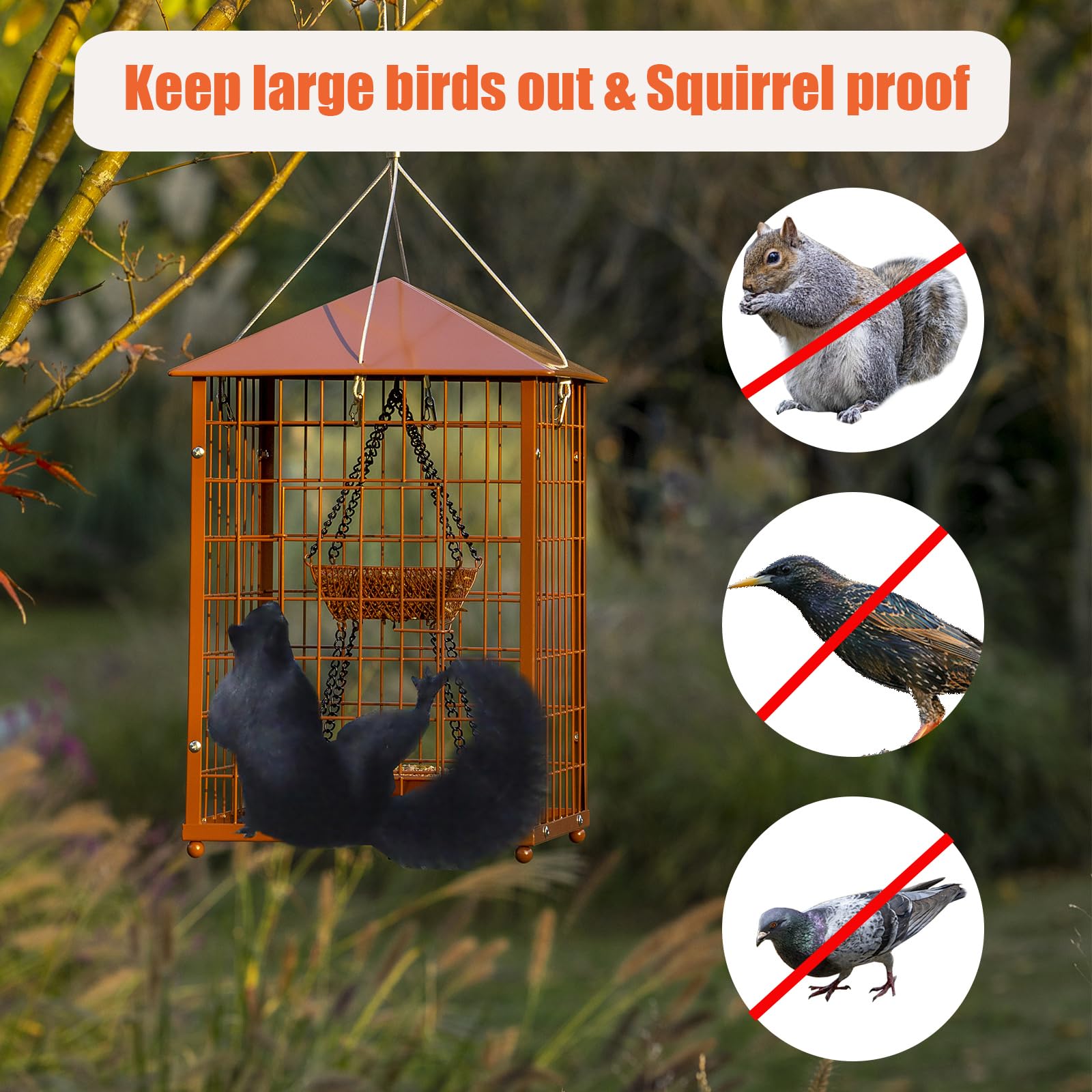 Mosloly Bird Feeder showing squirrel-proof grid design