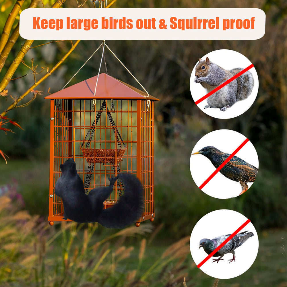 Mosloly Bird Feeder showing squirrel-proof grid design