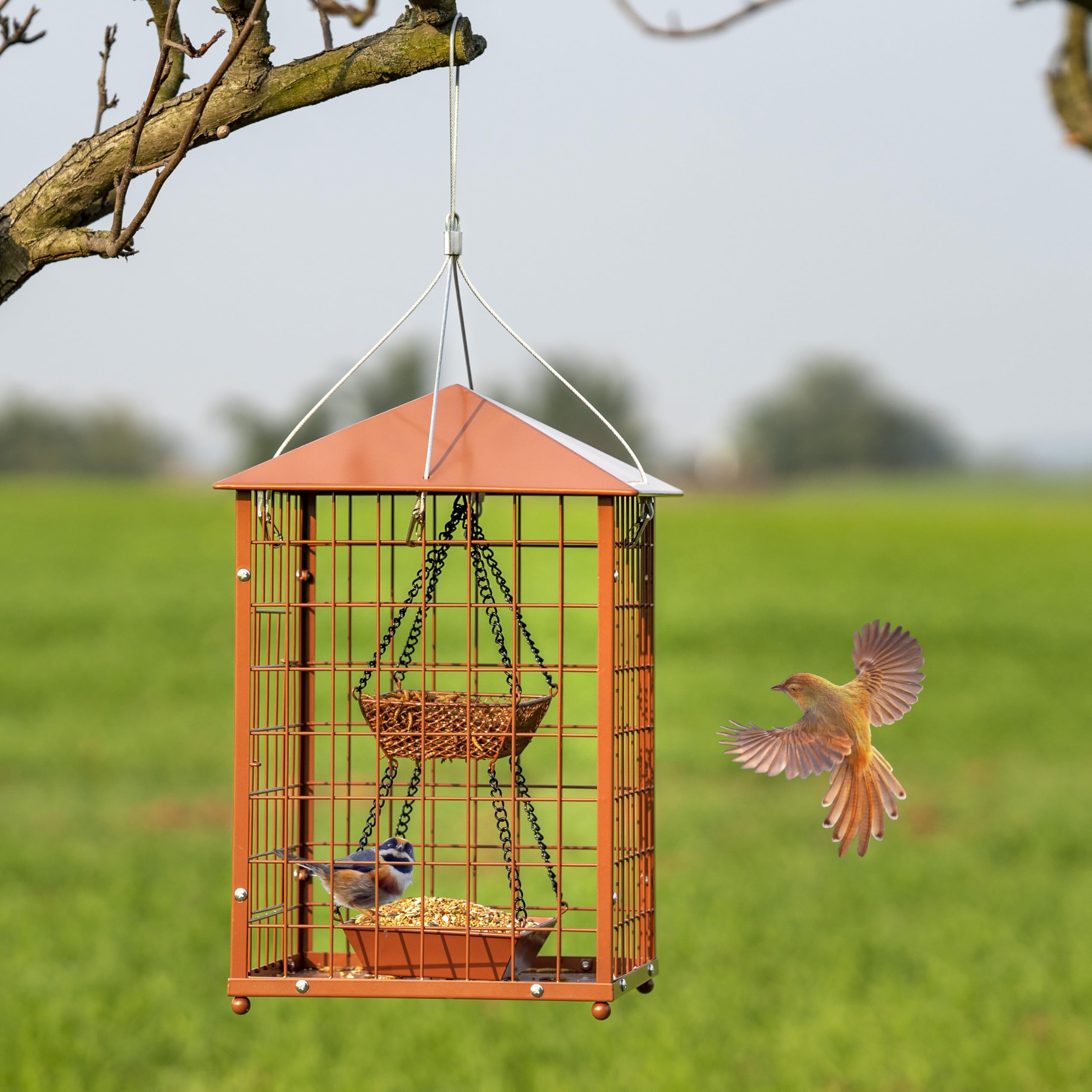 Mosloly Bird Feeder with caged design, side view