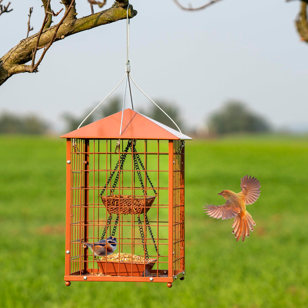 Mosloly Bird Feeder with caged design, side view