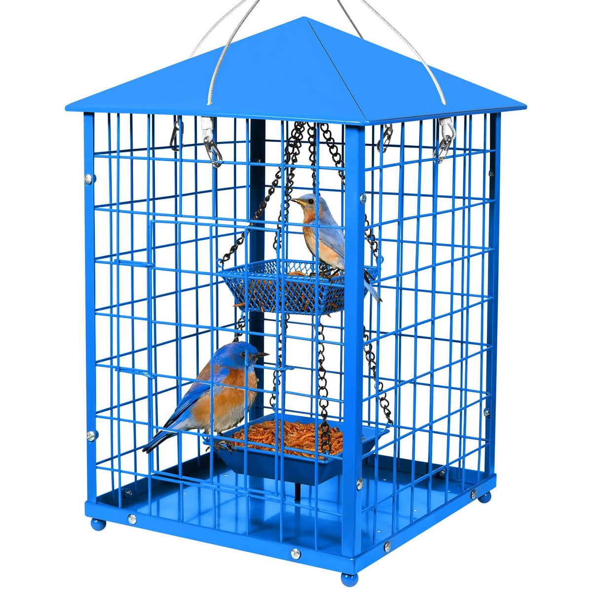 Mosloly Bluebird Feeder front view with large square cage