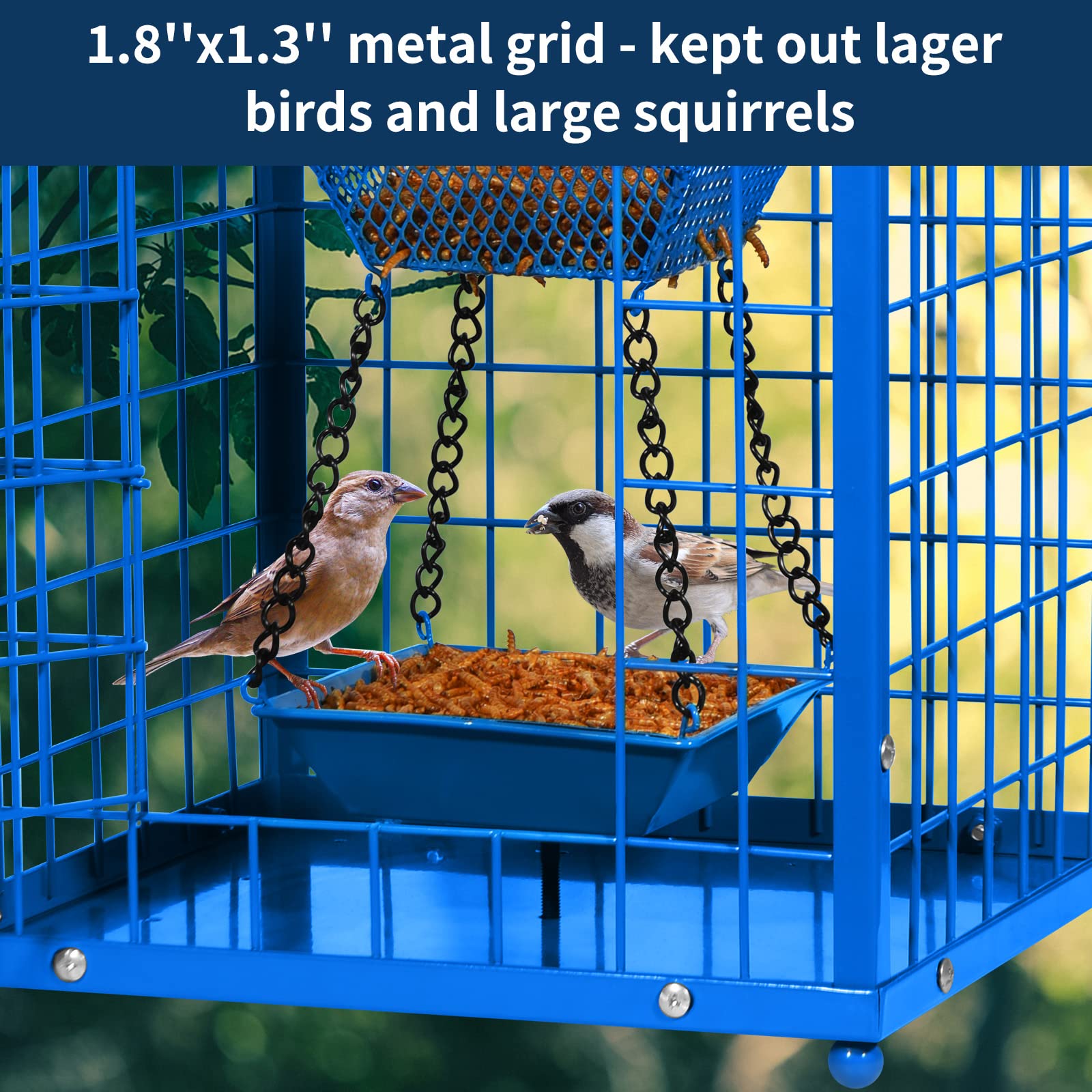 Mosloly Bluebird Feeder packaging with product details