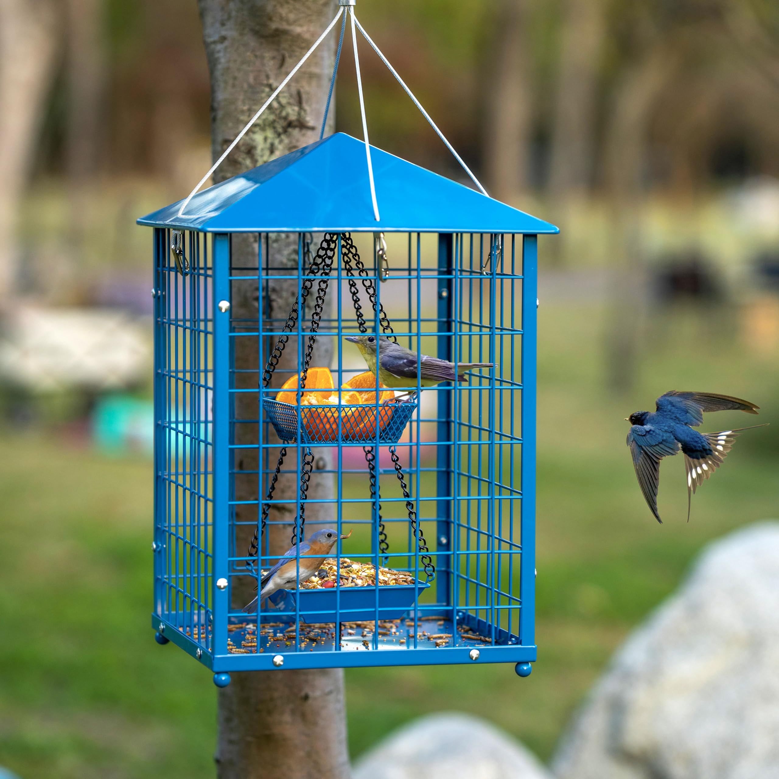 Mosloly Bluebird Feeder showing the weatherproof roof