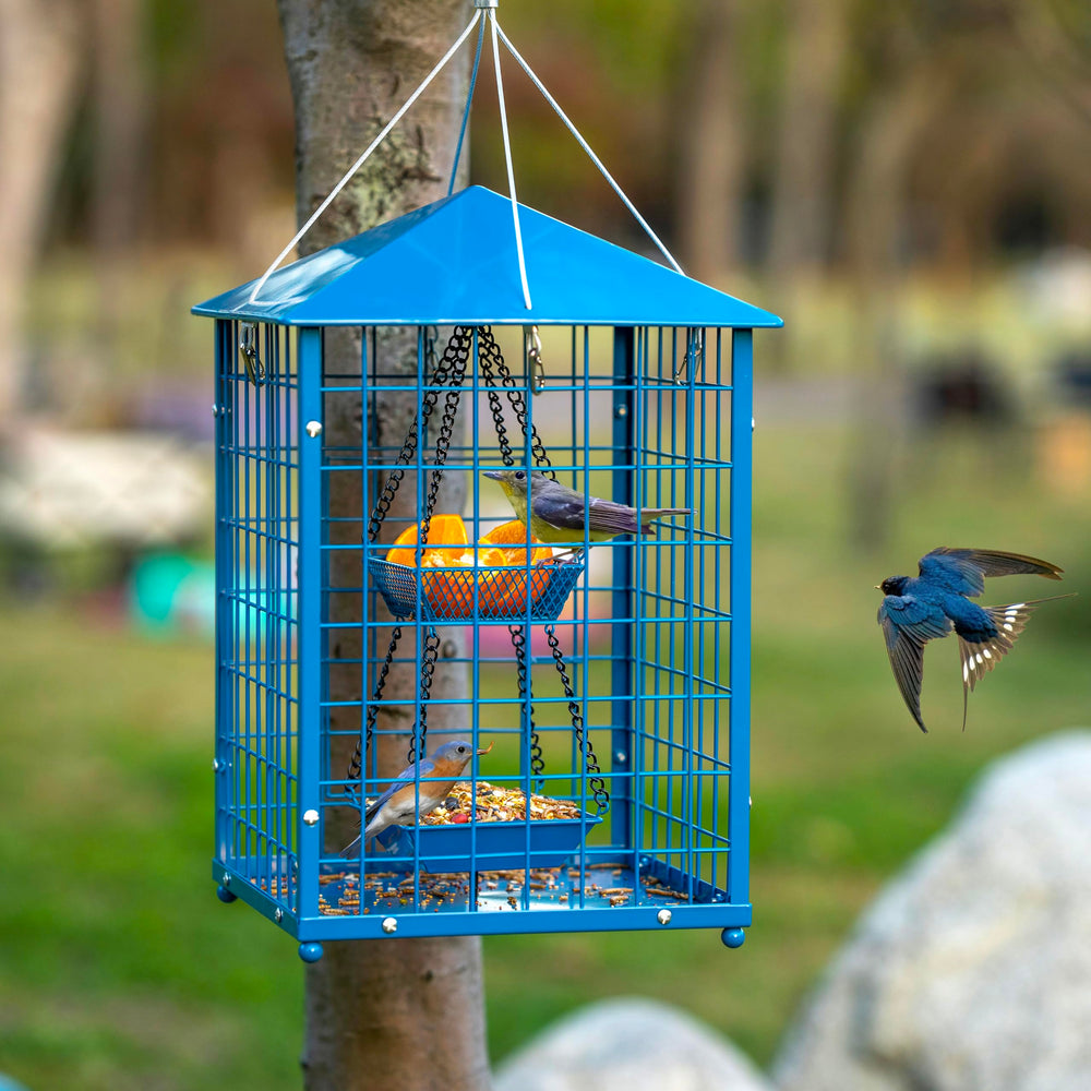 Mosloly Bluebird Feeder showing the weatherproof roof