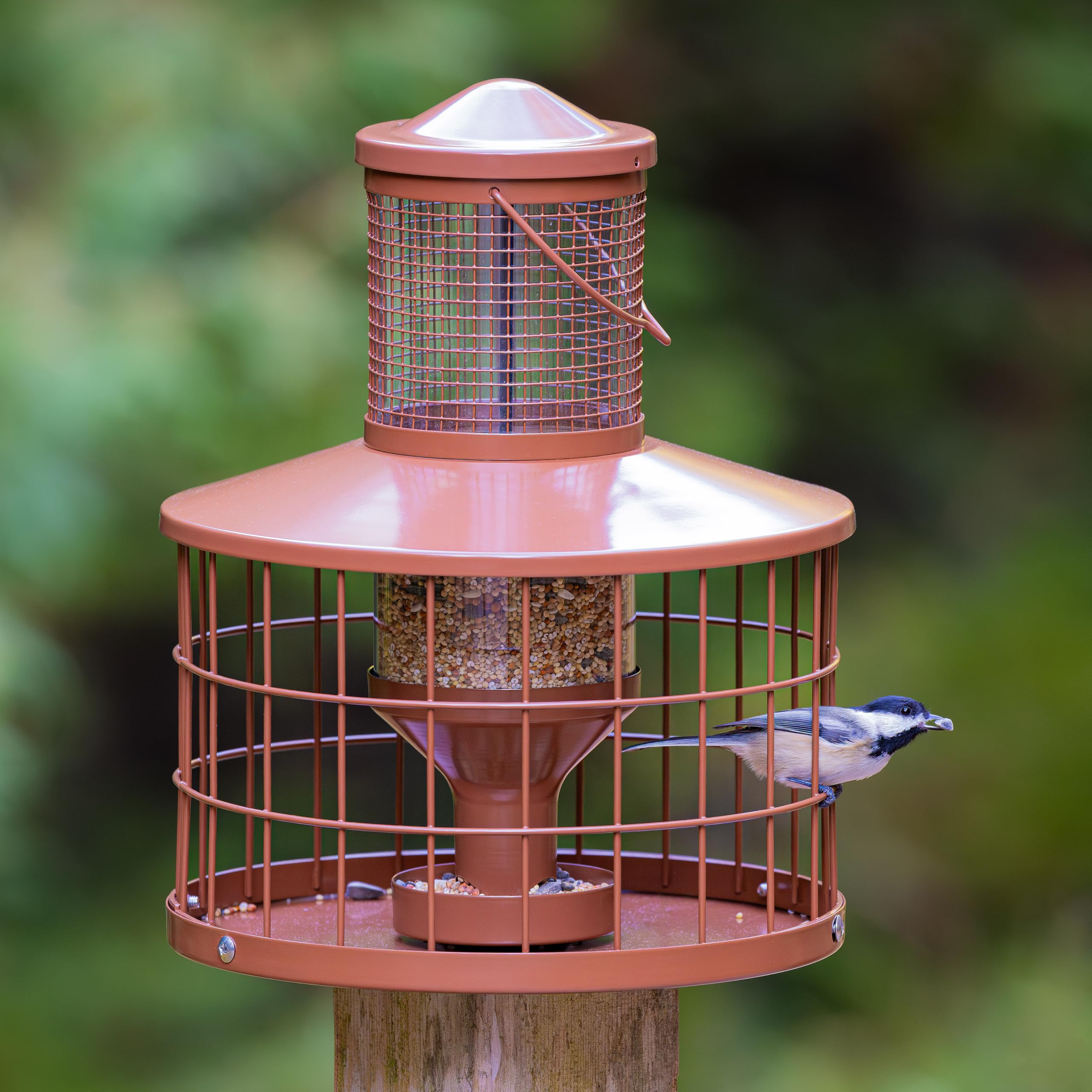 Mosloly Caged Bird Feeder side view showing the mesh design