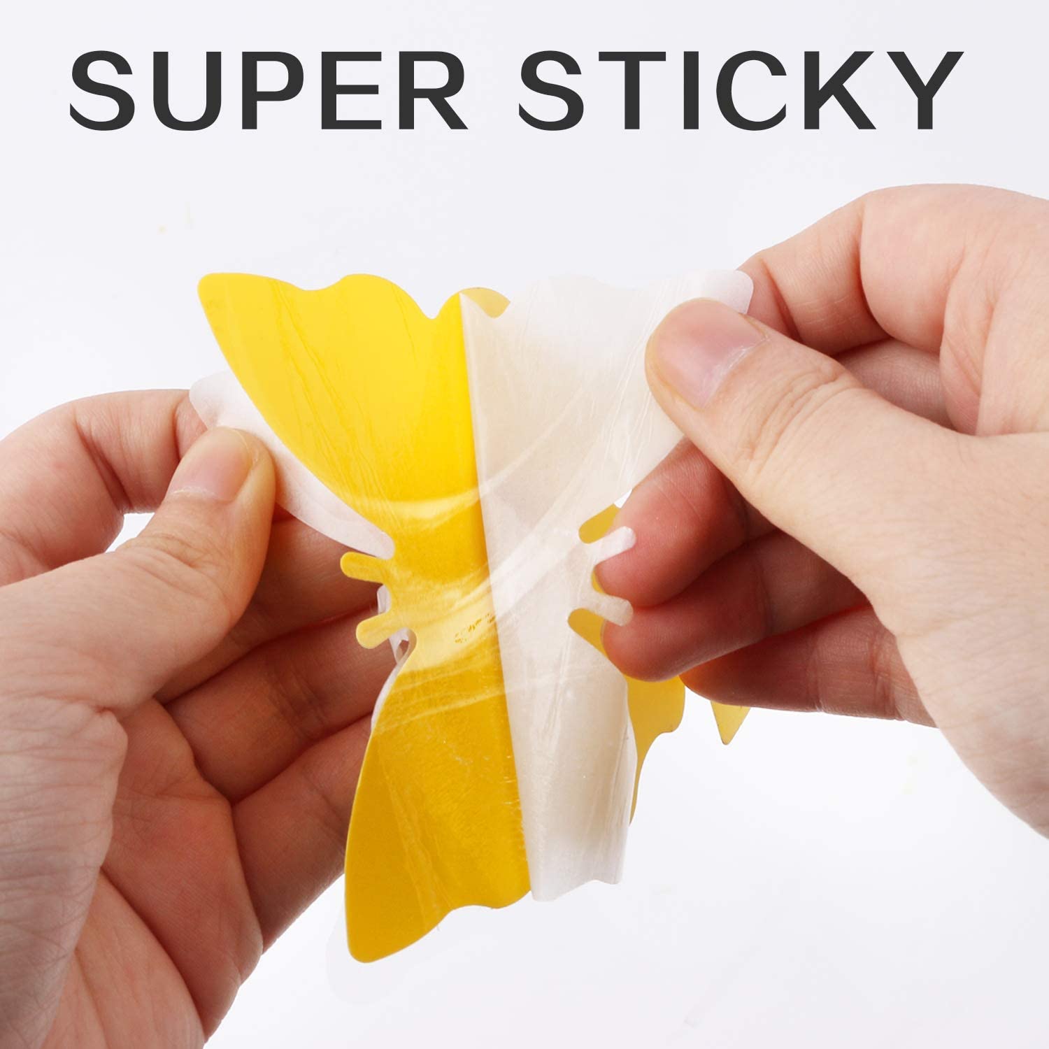 Mosqueda sticky traps displayed on a kitchen counter