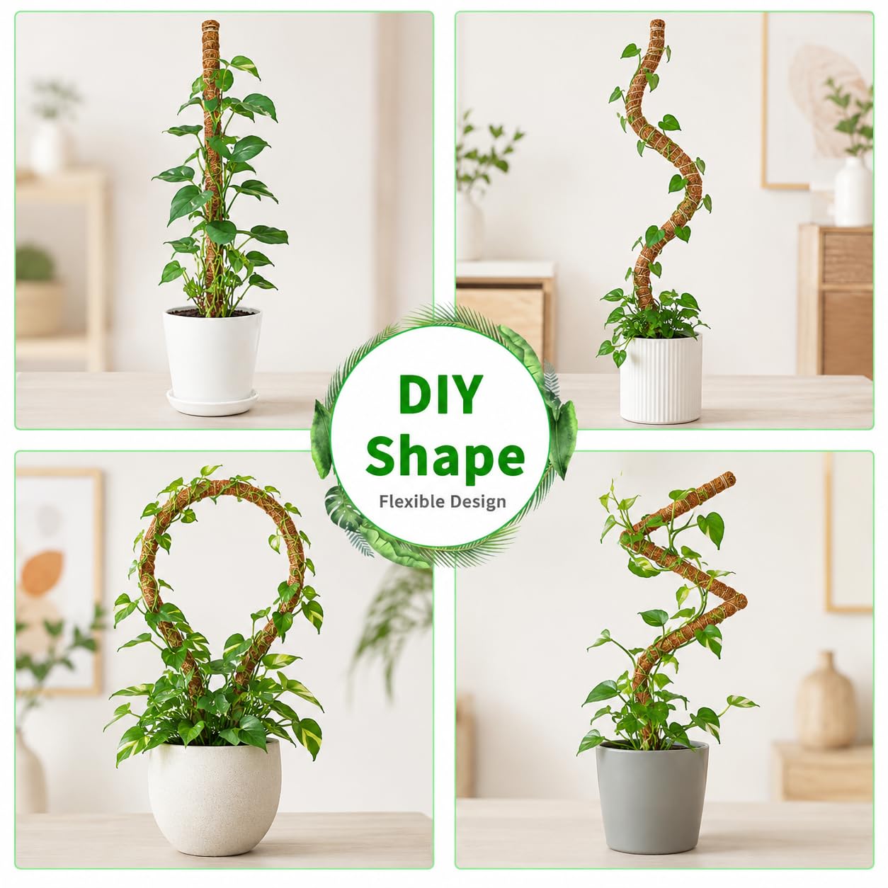 Moss pole inserted into soil with climbing plant