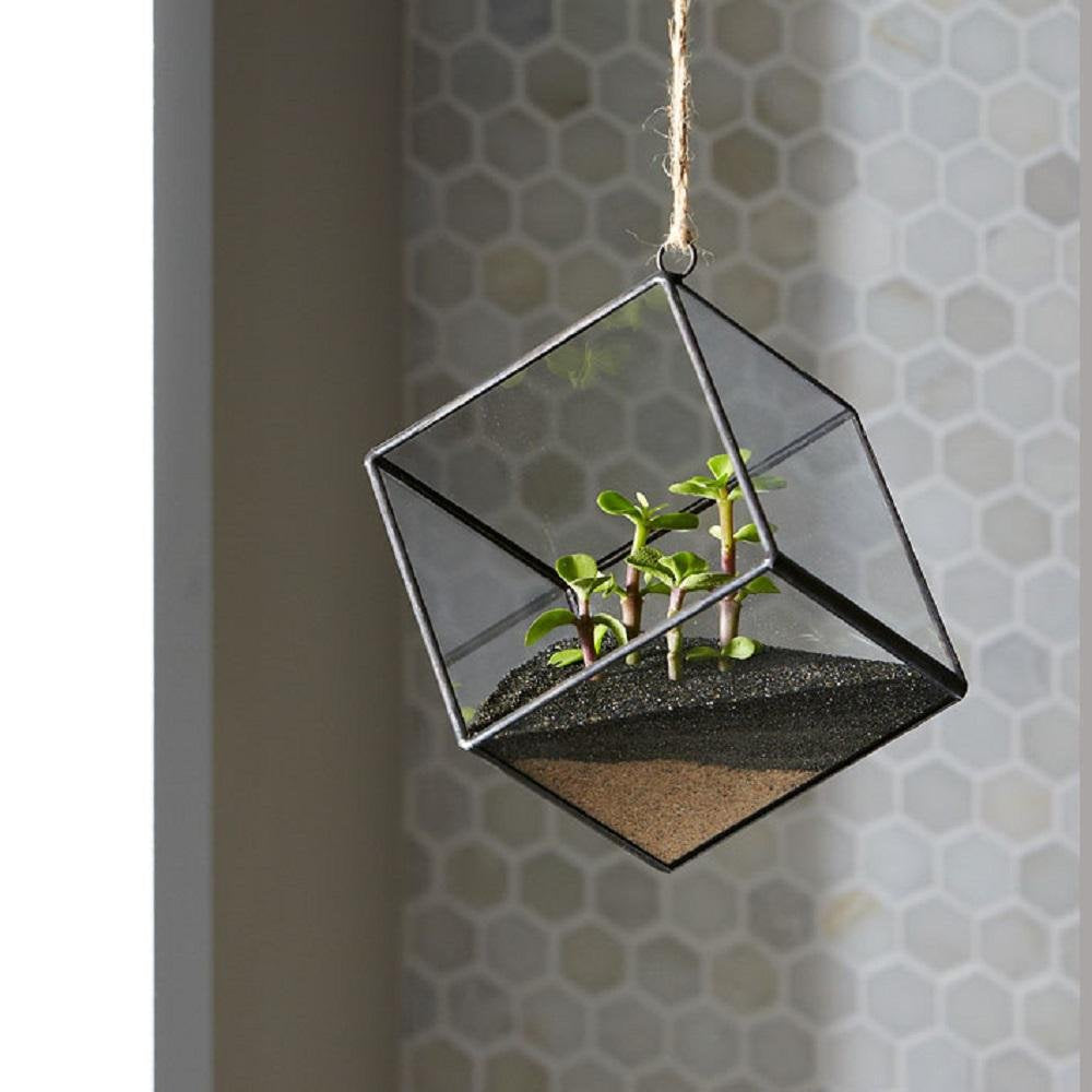 Mosser Lee Black Sand Soil Cover in a clear vase