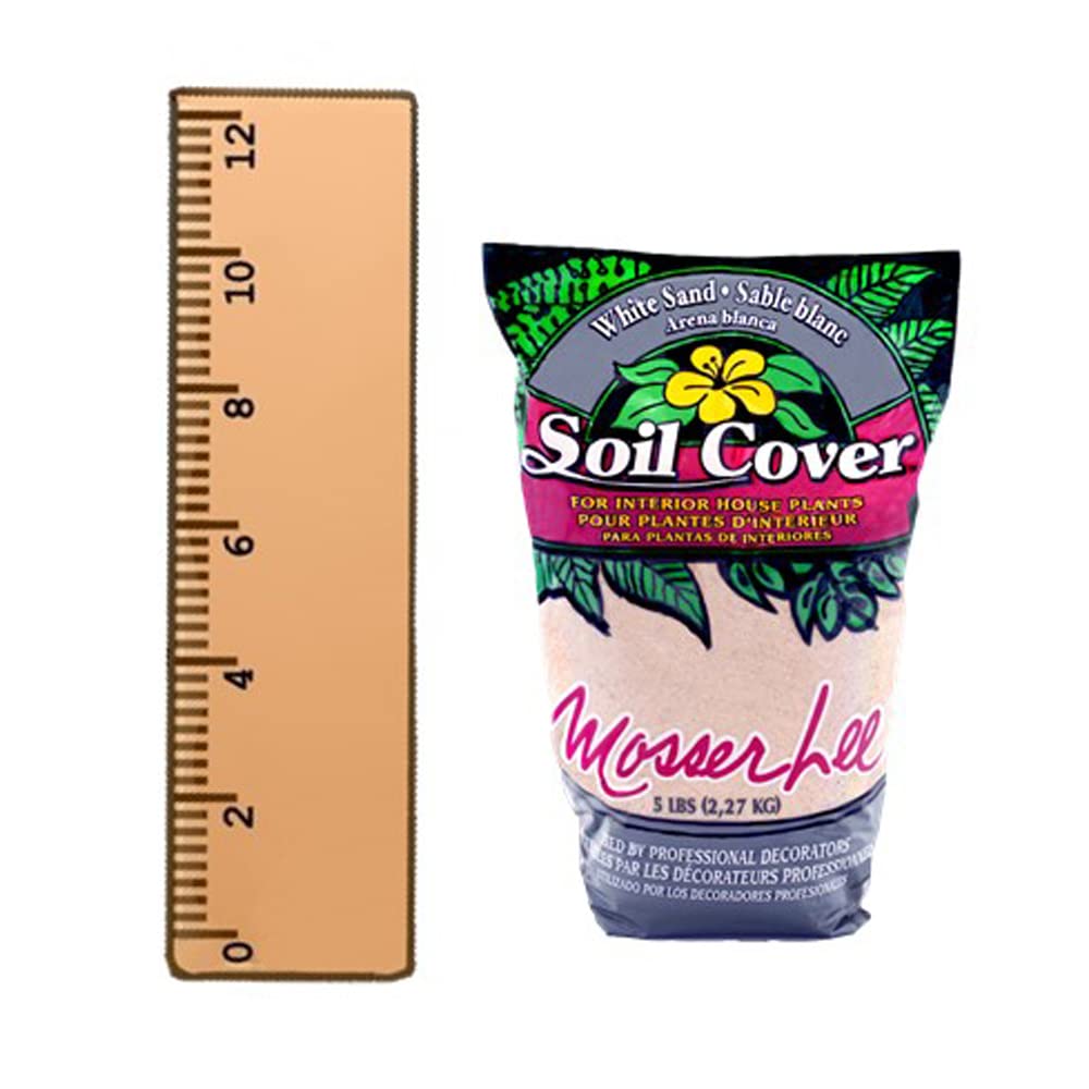 Mosser Lee White Sand Soil Cover with succulents