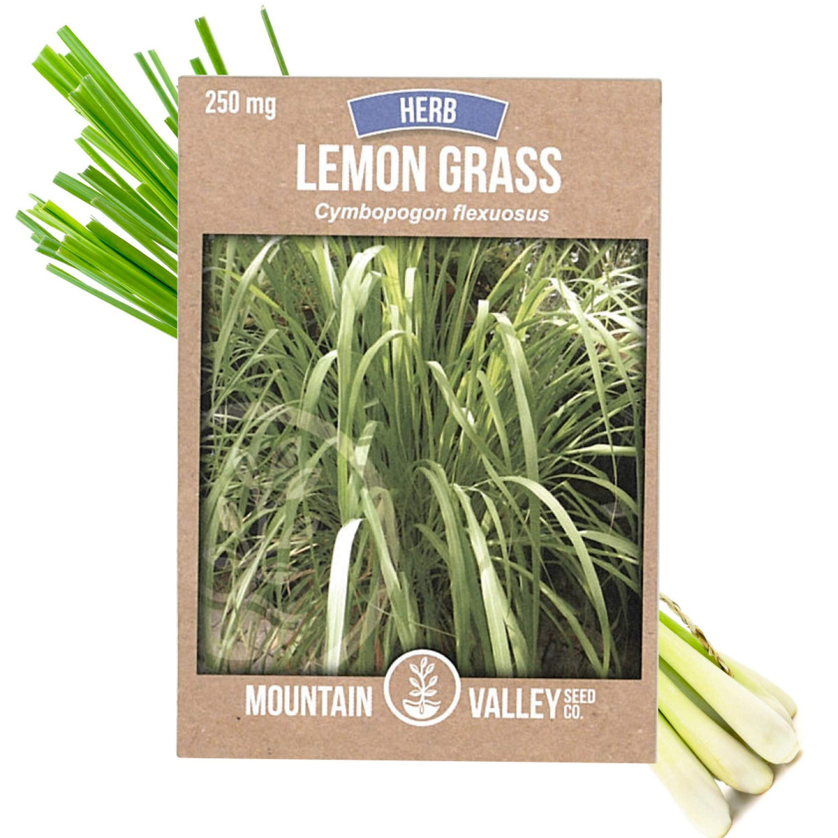 Mountain Valley Seed Co lemongrass seeds 250 mg packet front view