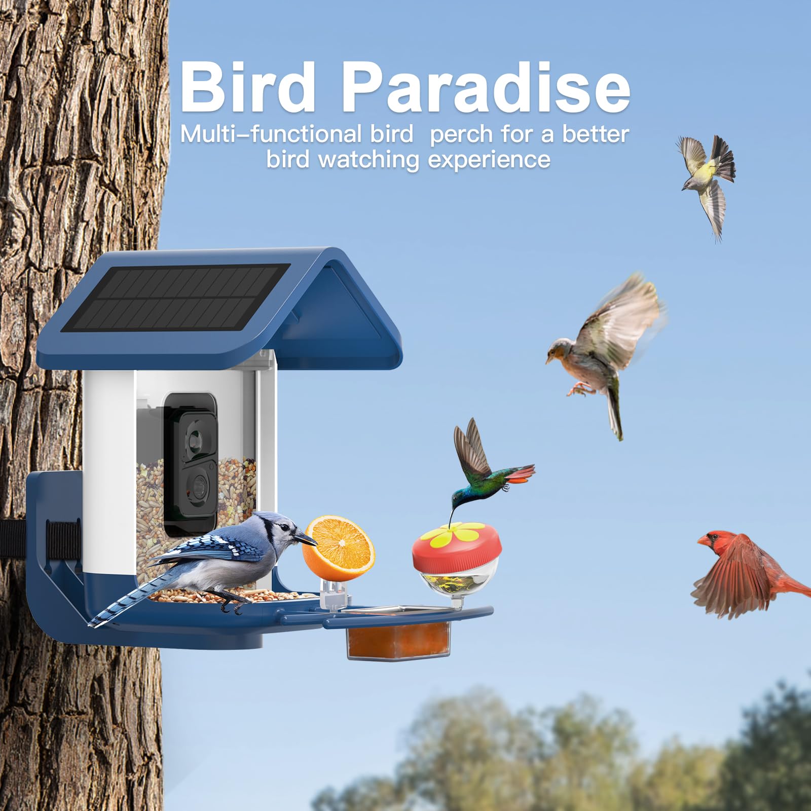 Mounting hardware for the onlyfly Smart Bird Feeder