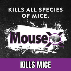 MouseX Pellets being poured into a bait station