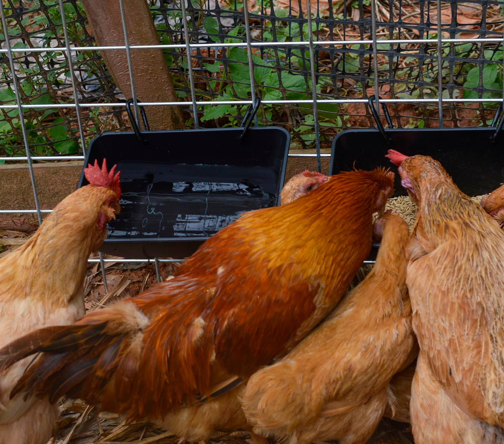 mozoba chicken trough showing clips and screws