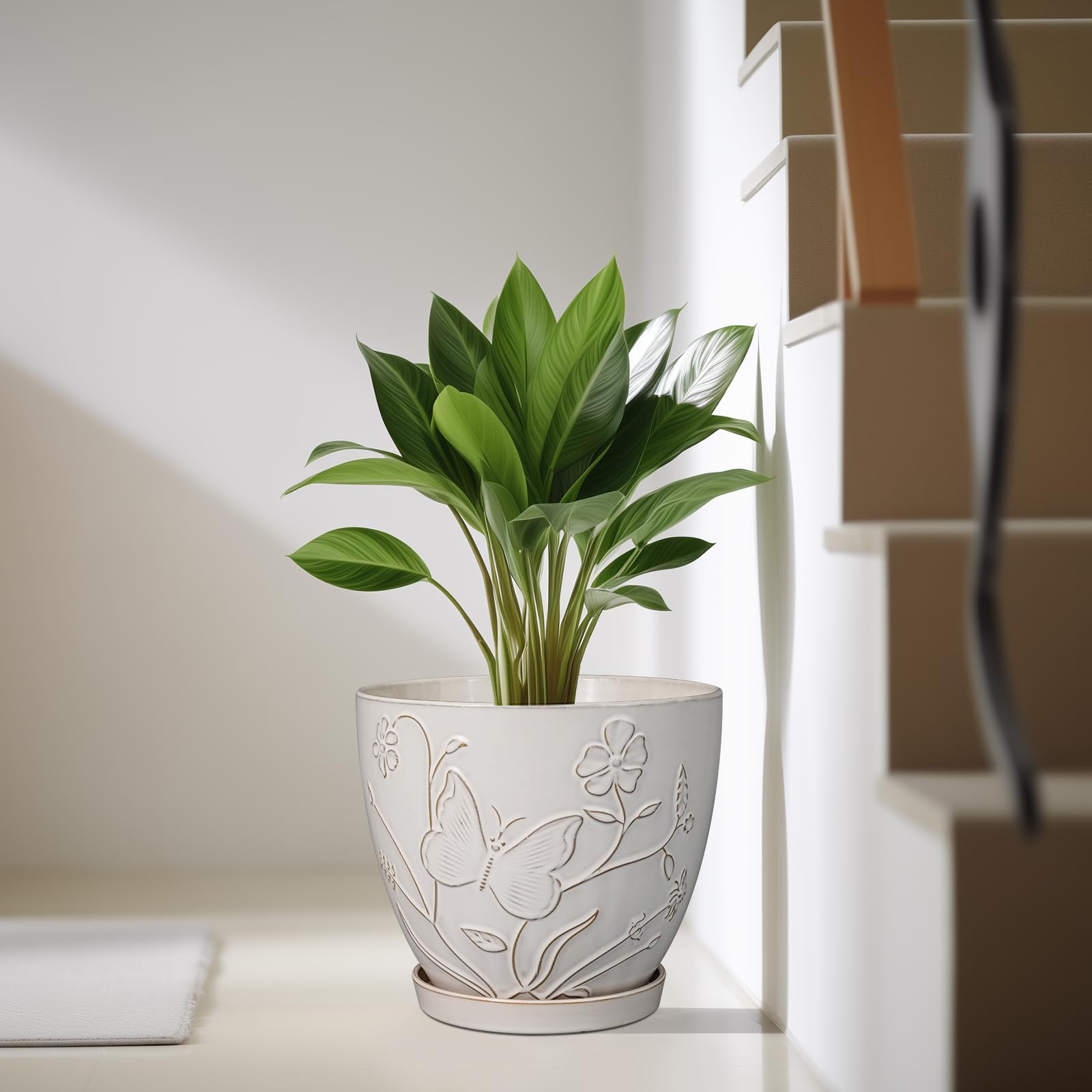 MPotTo 10 Inch Ceramic Planter Pot packaging and contents