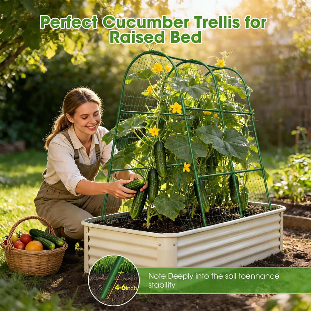 MQHUAYU Cucumber Trellis assembled with climbing plants