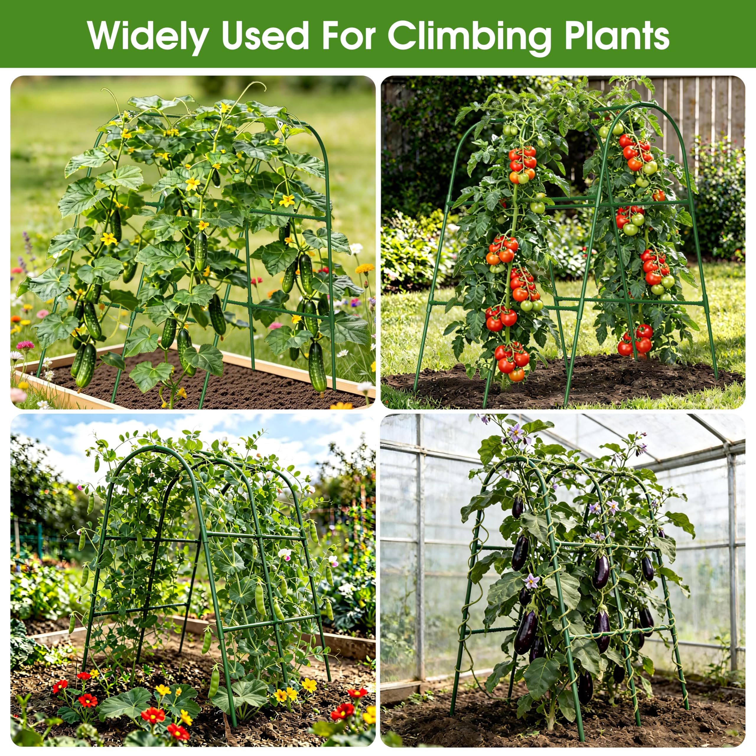 MQHUAYU Cucumber Trellis back view showing stability