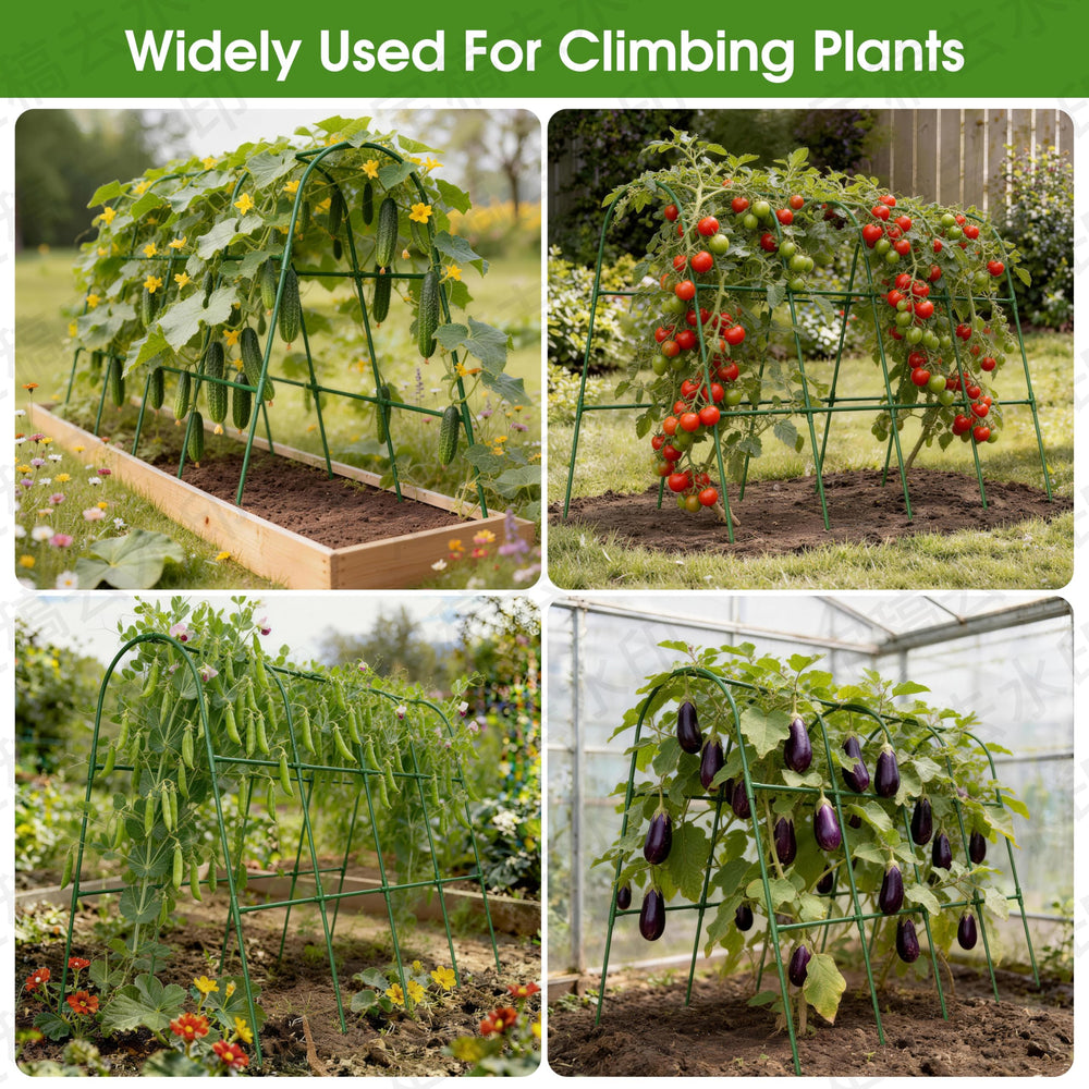 MQHUAYU Cucumber Trellis set up in a vegetable garden