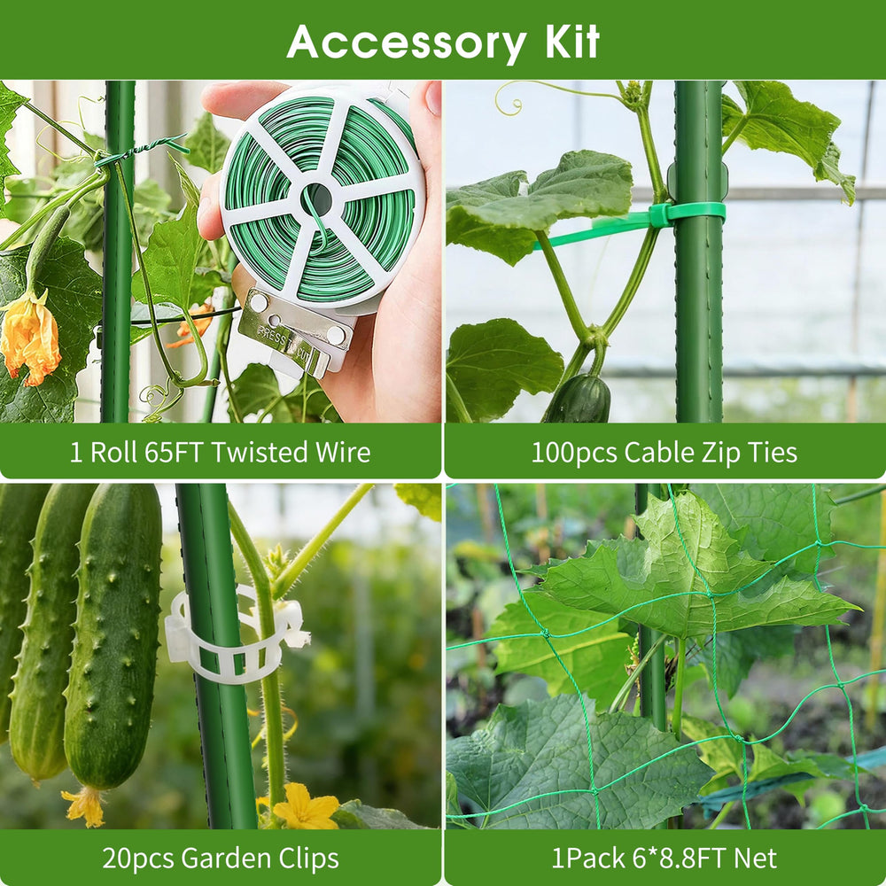 MQHUAYU Cucumber Trellis with various climbing vegetables