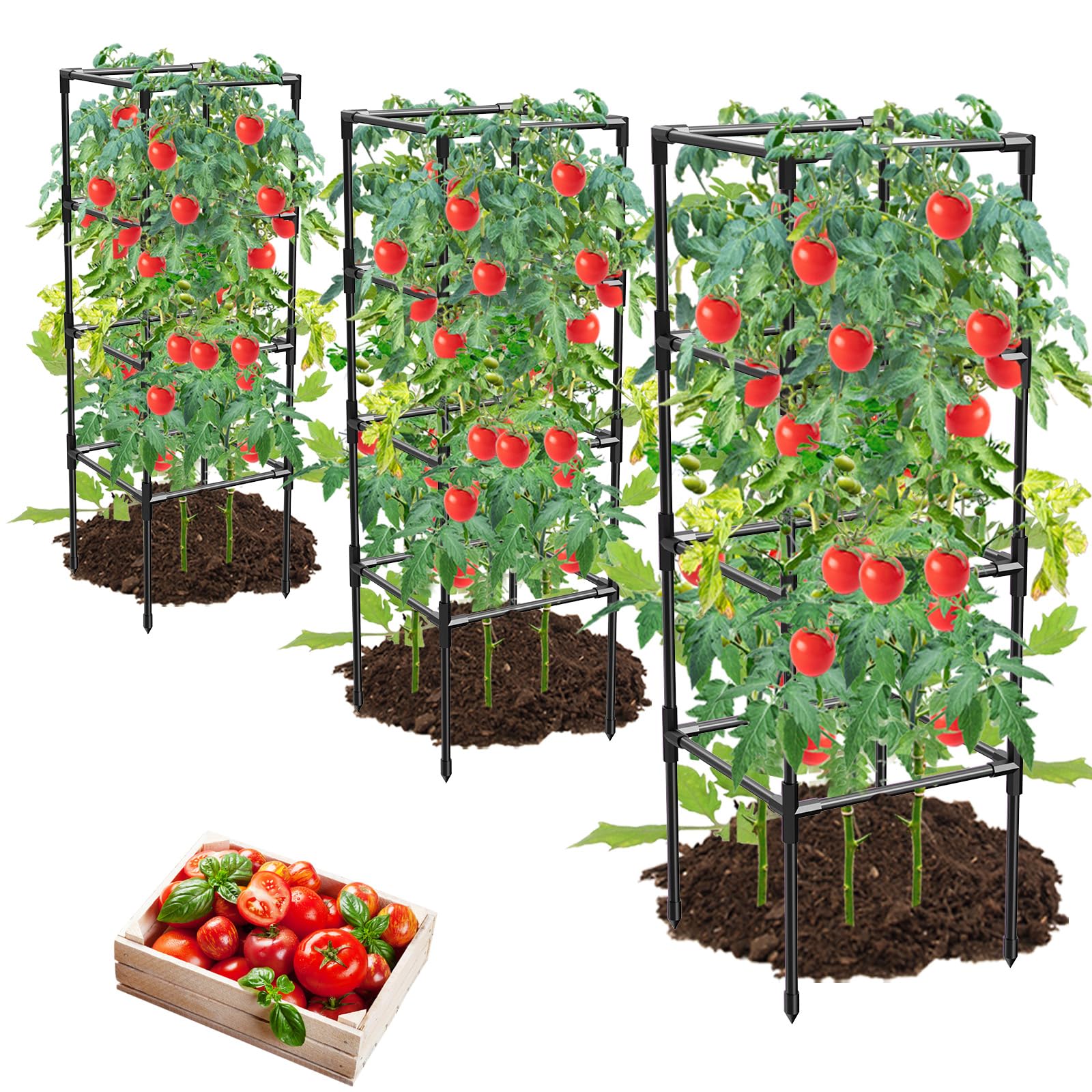 MQHUAYU Tomato Cage set front view, three units