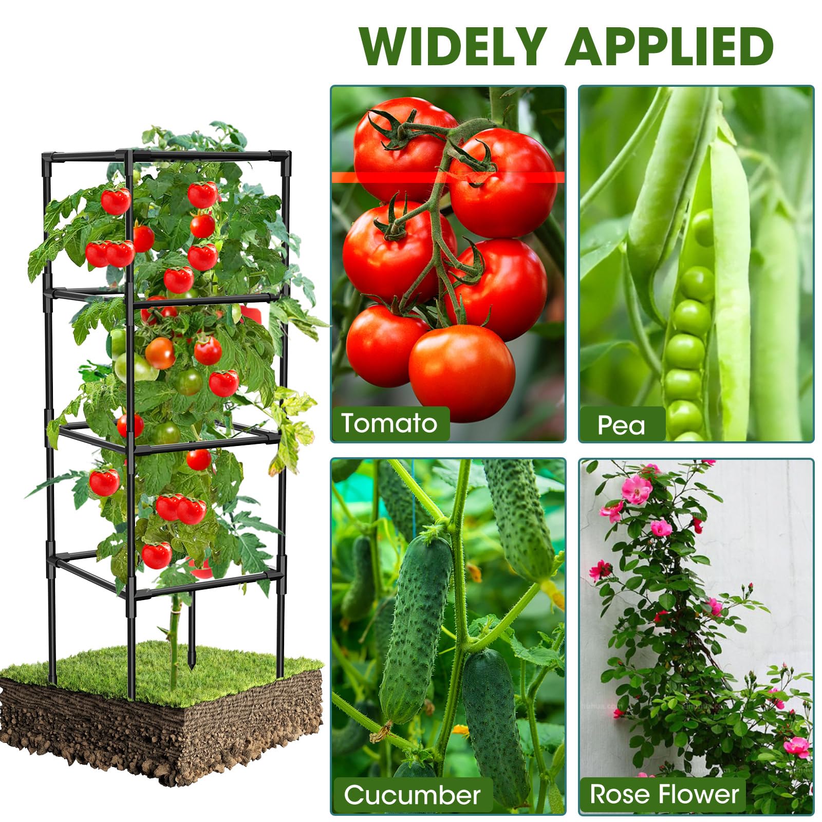 MQHUAYU tomato cage with included clamps for secure attachment