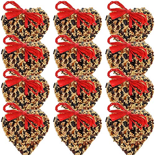 Mr. Bird 12 Pack Little Heart Wild Bird Seed multi-colored hearts front view