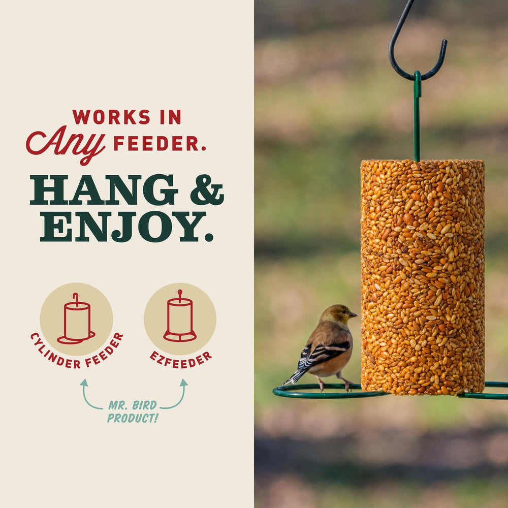Mr. Bird Flaming Hot Feast Bird Seed 2-pack packaging