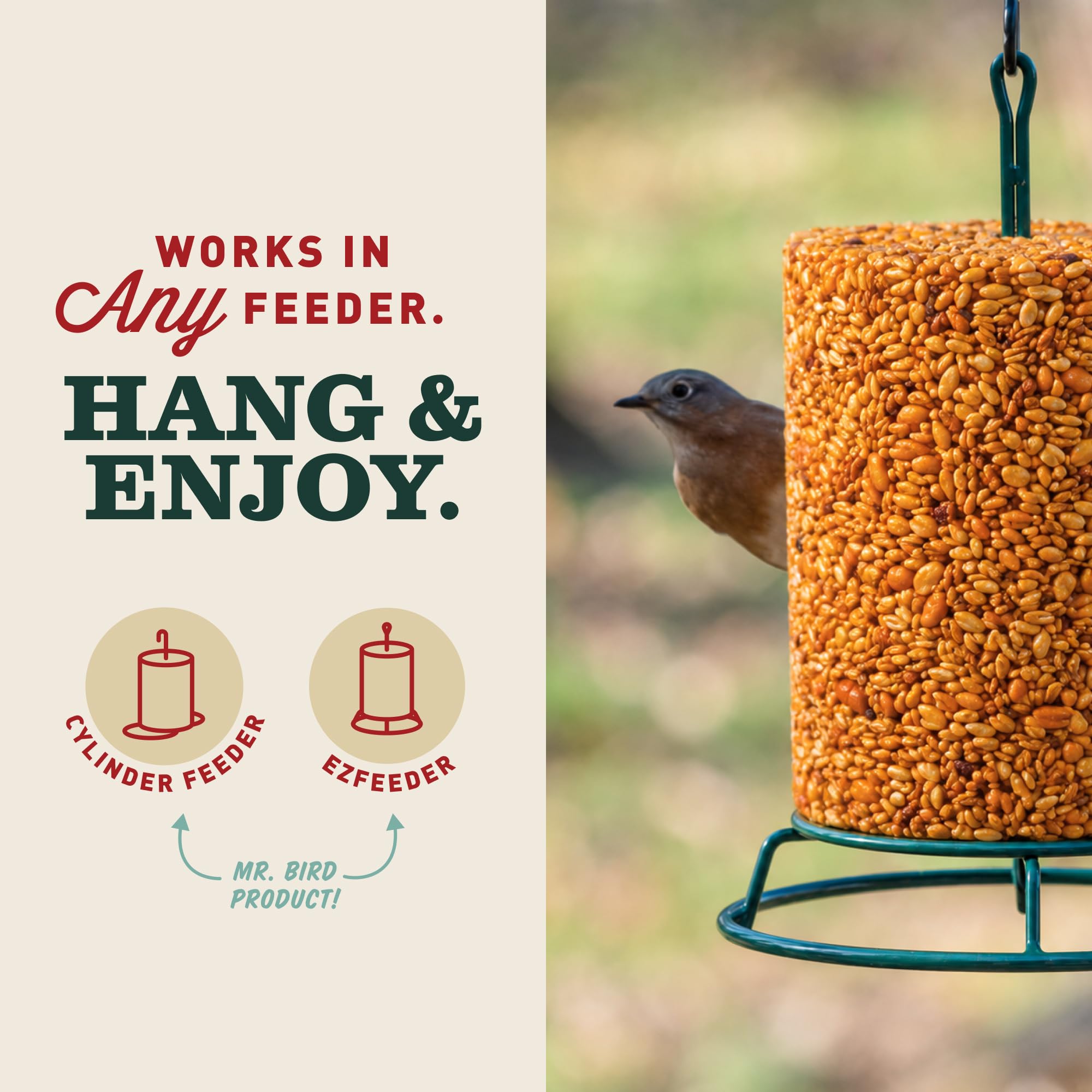 Mr. Bird Flaming Hot Feast bird seed cylinder in a backyard setting