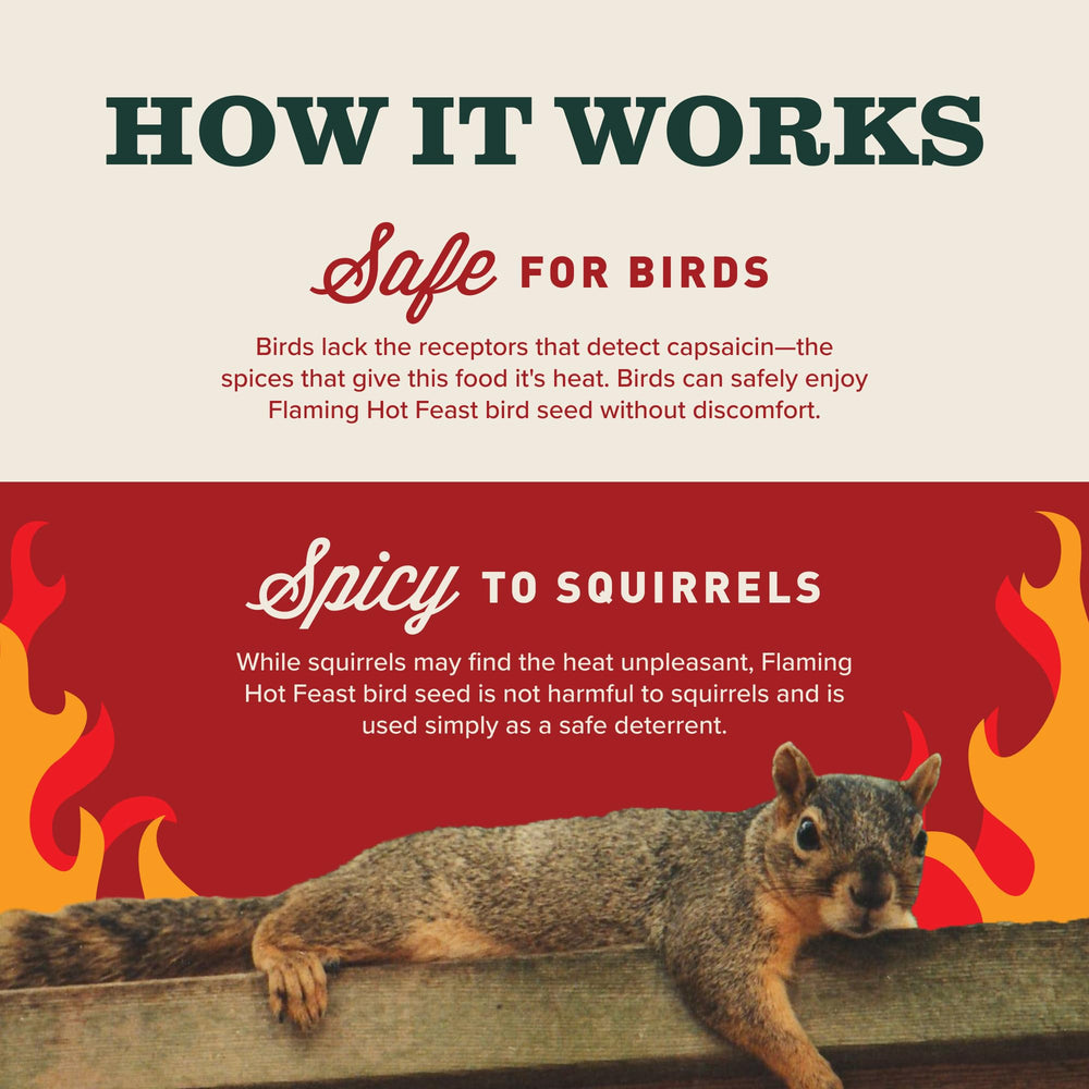 Mr. Bird Flaming Hot Feast bird seed cylinder packaging