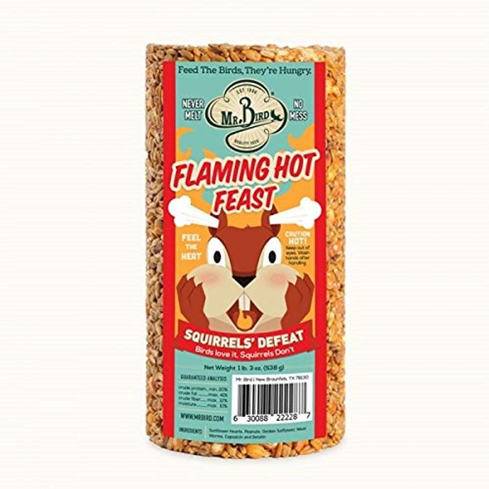 Mr. Bird Flaming Hot Feast cylinder showing multi-colored seeds