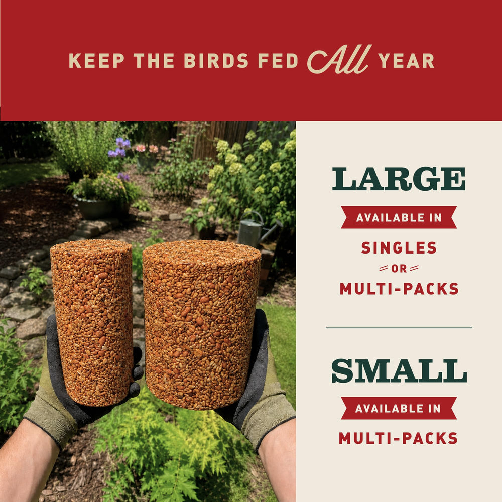 Mr. Bird Flaming Hot Feast Spicy Bird Seed Cylinder in a feeder