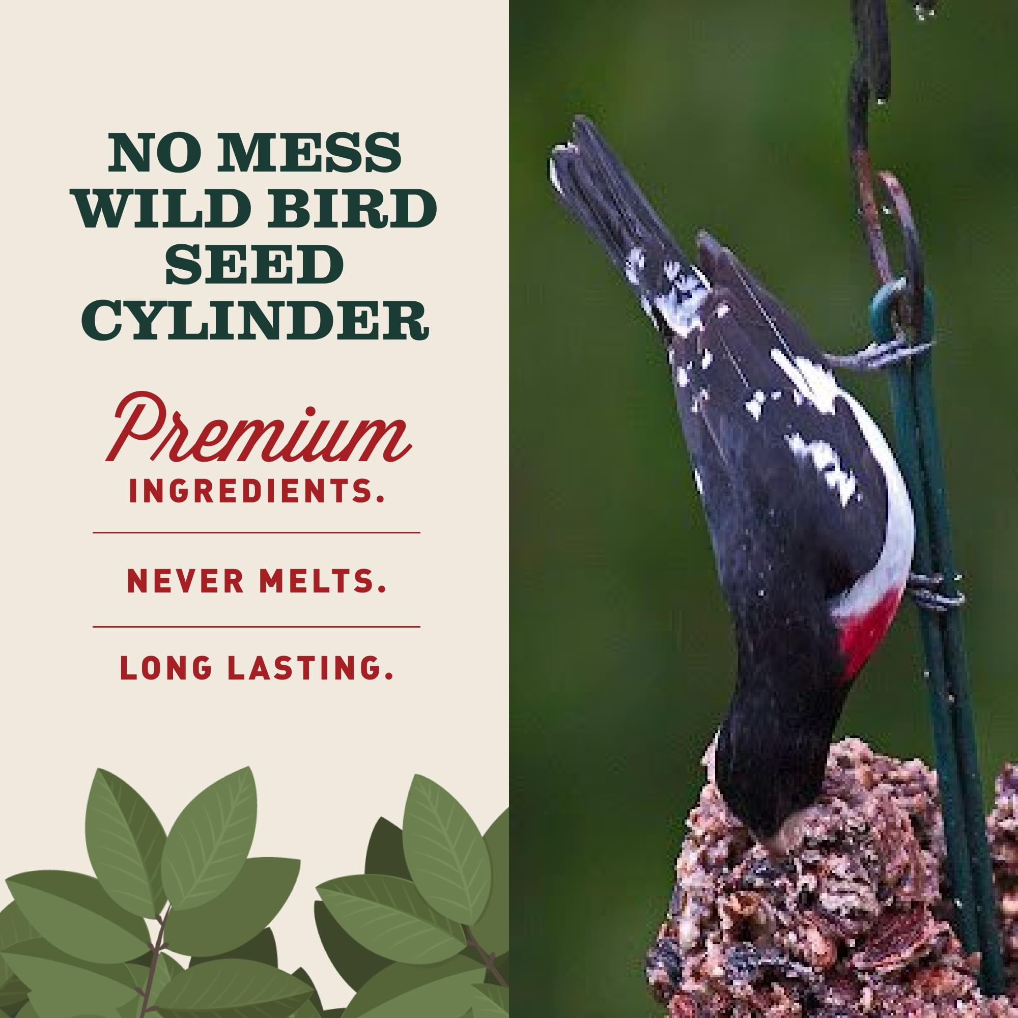 Mr. Bird WildBird Feast Cylinder side view showcasing packaging