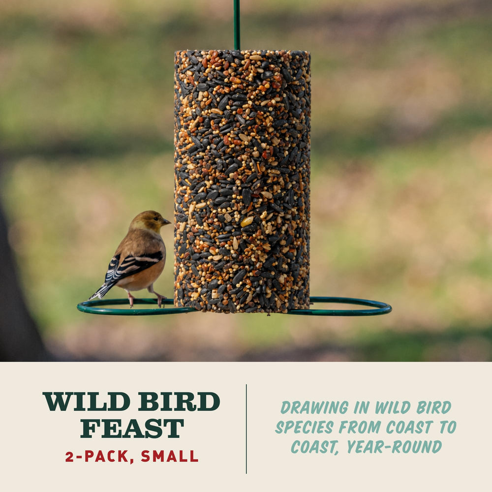 Mr. Bird WildBird Feast ingredients close-up view