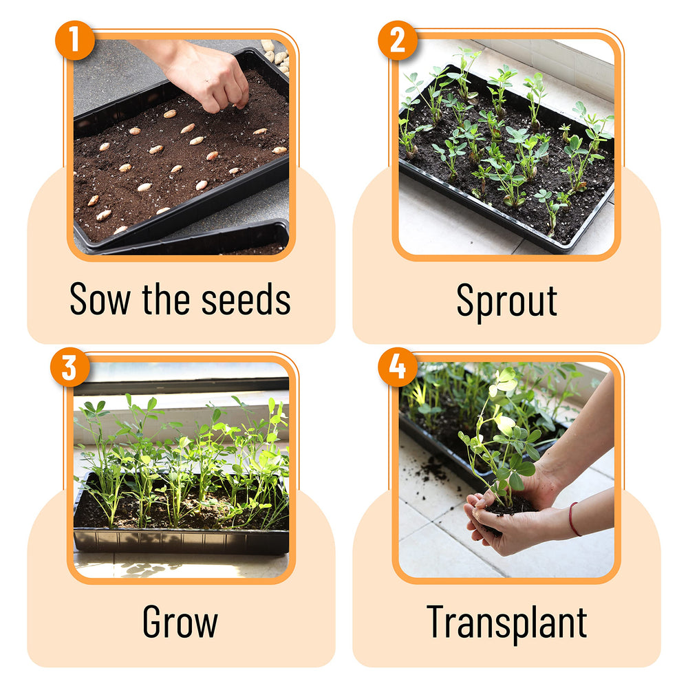 Mr. Pen Seed Starter Tray packaging