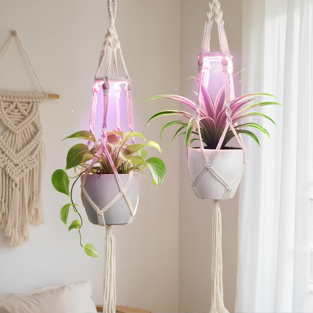 MSFON Ivory Macrame Plant Hanger with grow light setup