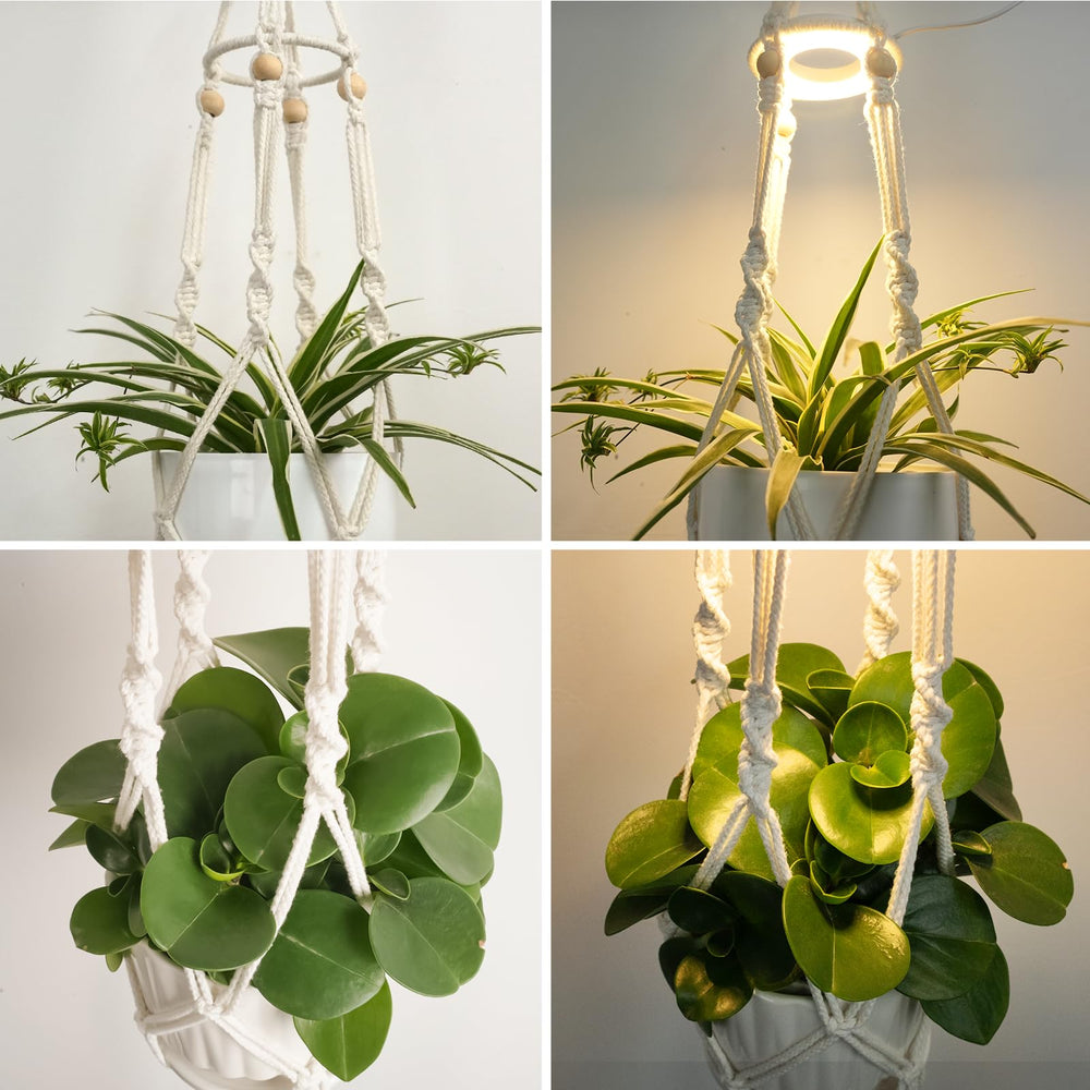 MSFON Macrame Plant Hanger displaying multiple plants