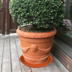 MSKIAUO 4 pack of plant saucers on a patio