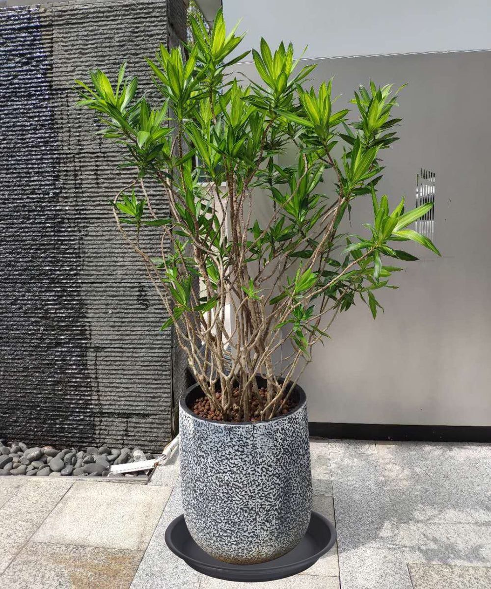 MSKIAUO plant saucer held in hand, showing size