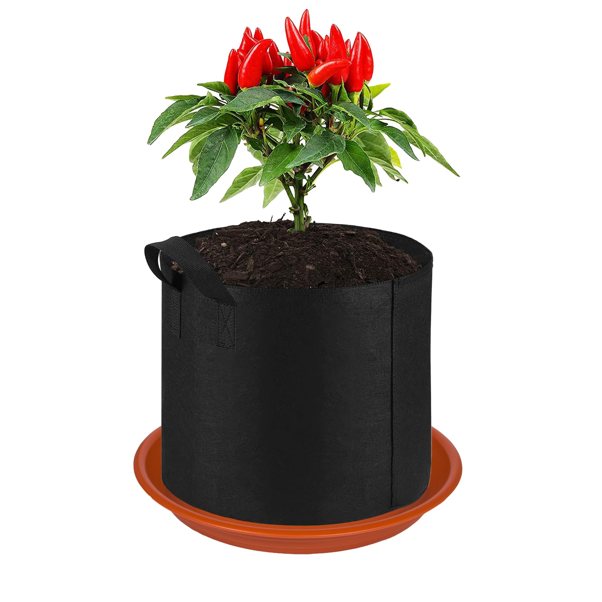 MSKIAUO plant saucer with excess water retention