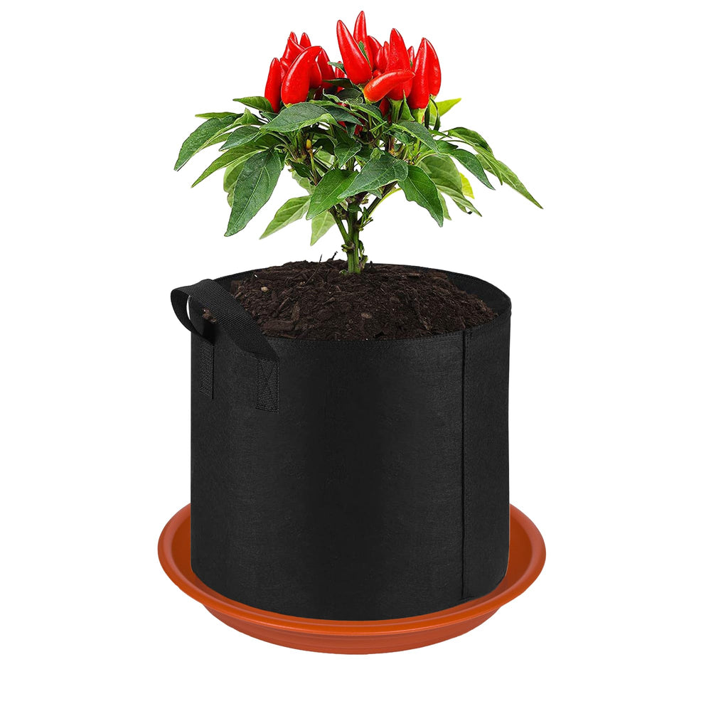 MSKIAUO plant saucer with excess water retention