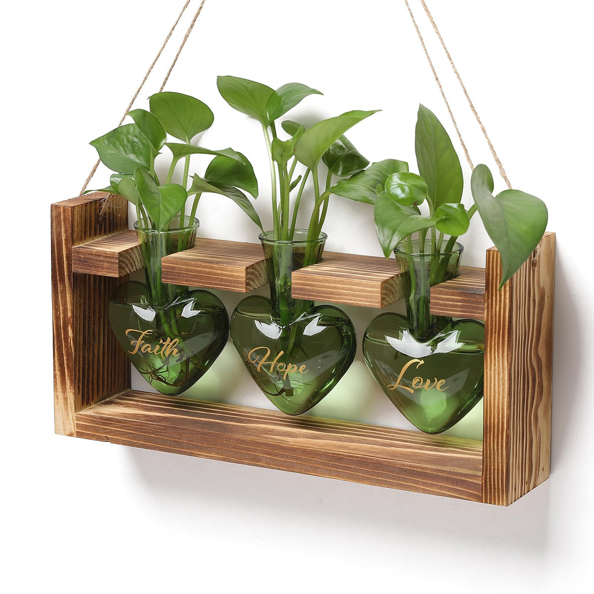 MTsigns heart-shaped glass propagation vase front view