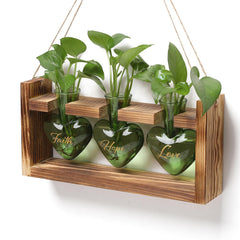 MTsigns heart-shaped glass propagation vase front view