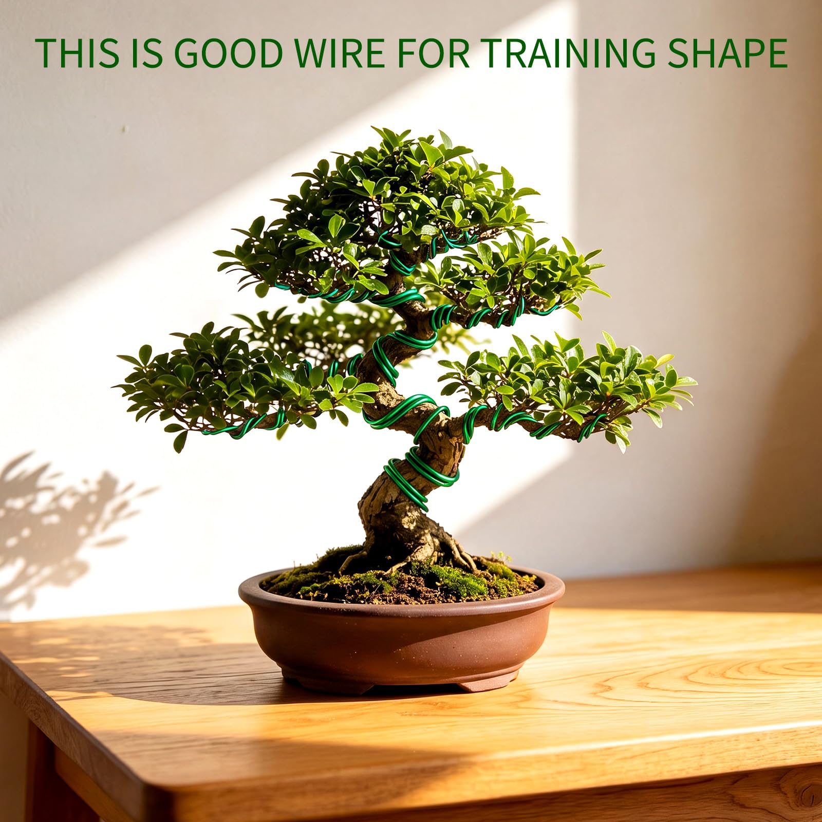 Mudder Bonsai Training Wire 2.5mm and 3mm rolls