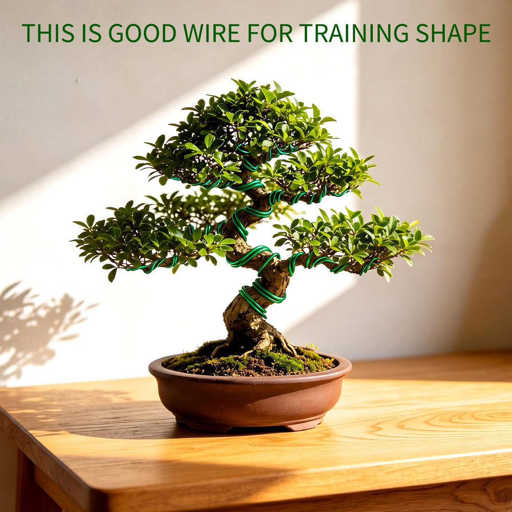 Mudder Bonsai Training Wire 2.5mm and 3mm rolls