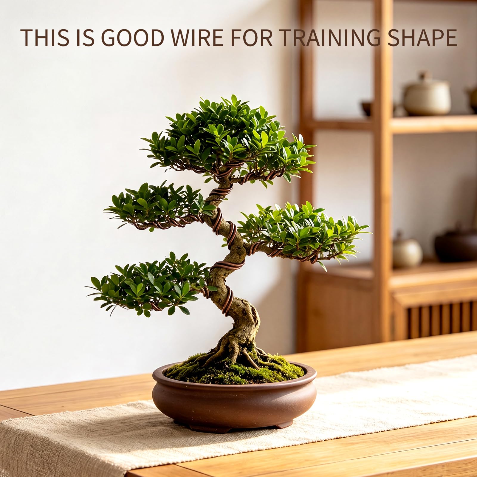 Mudder Bonsai Training Wire 4mm brown roll on a table